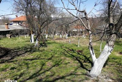Casă cu 5 camere cu Teren 2600 Mp în Central - 2