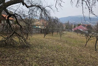 PROPRIETAR-Vand pensiune, Comarnic - 12