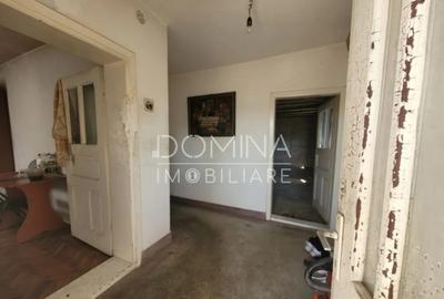 Casă cu 5 camere cu Teren 3623 Mp în Debarcader - 3