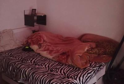 Apartament cu 2 camere în Trivale - 5