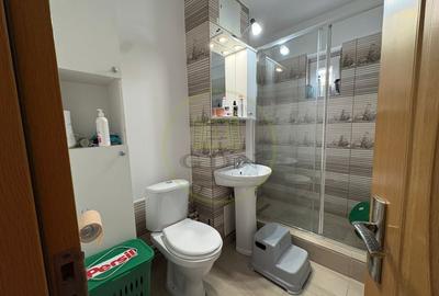 Apartament cu 2 camere decomandat, mobilat în Craiovița Nouă - 8