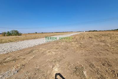 Teren Construcții intravilan de 10800 mp, în Frumușani - 1