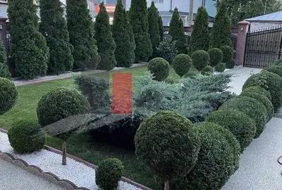 Vila de lux de inchiriat ideala pentru afaceri - 2