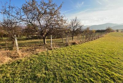 Teren de 2000 mp, în Rășinari - 2