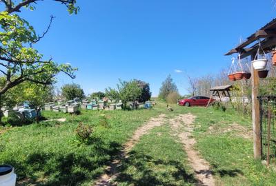 Fermă de vânzare în com. Deleni - DN3 - 10.680 mp - 84 m deschidere - 3