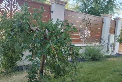 Casă cu 5 camere în Săcălaz