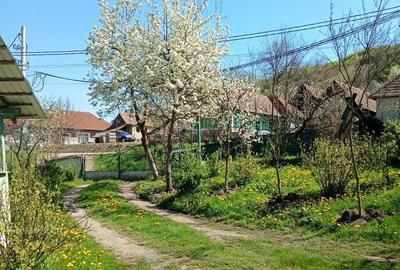 Casă cu 3 camere în Cotuș - 2