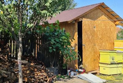 Casă cu 2 camere cu Teren 334 Mp în Vinerea - 3