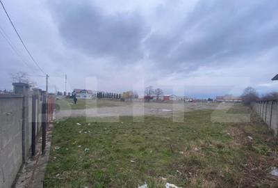 Teren intravilan, multifunc?ional, 8000mp - 3