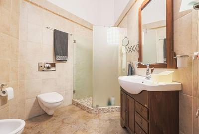 Apartament ultracentral cu 3 camere, 2 băi și curte privată - 8