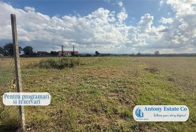 Casă cu Teren 2877 Mp în Tileagd - 2