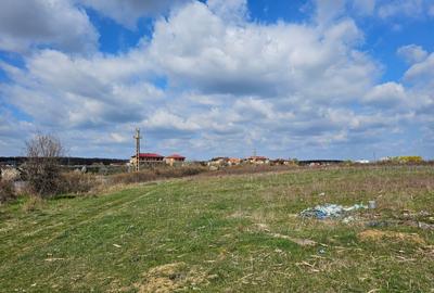 Teren Construcții intravilan de 499 mp, în Mogoșoaia - 8