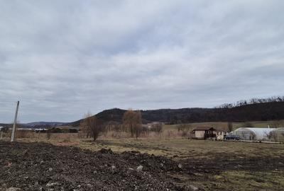 Teren Construcții extravilan de 1.7000000476837 mp, în Calea Voinicenilor - 2