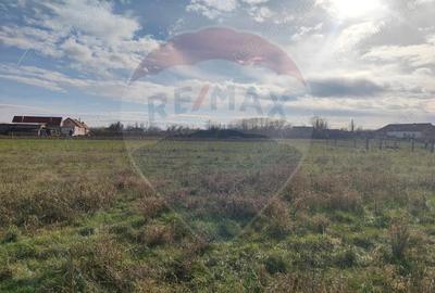 Teren de 1330 mp, în Drăgoiești - 2