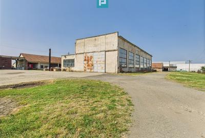 Spațiu industrial, de 700 mp, în Orțișoara - 2