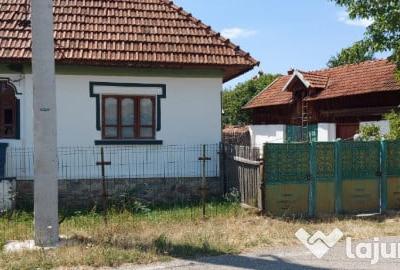 Casă cu 3 camere cu Teren 1583 Mp în Polovragi - 7