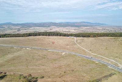 Teren Intravilan - Amplasare Unica - 35