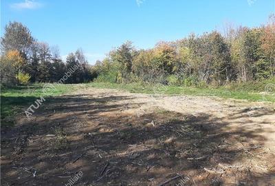 Teren intravilan de vanzare pe Valea Avrigului in suprafata de 1800 mp - 4