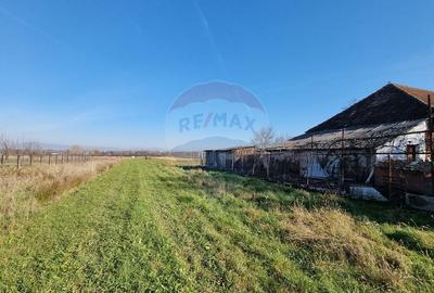 Teren 13,000mp Satulung / Soseaua Principala - 4