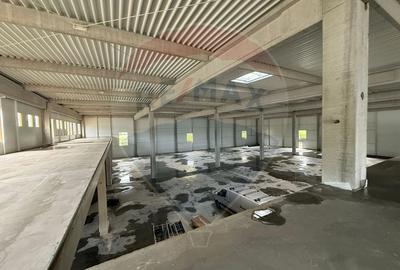 Spațiu industrial, de 3,992 mp, în Gilău - 4