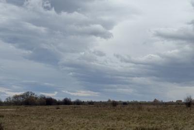 Terenuri extravilan  | 1000 mp, 2000 mp  | Valea Avrigului - 1