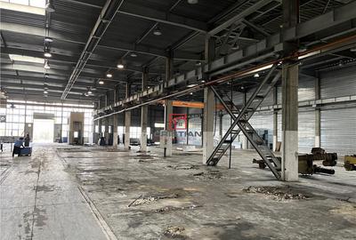 Depozit/hala/spatiu industrial Militari - Timisoara - 3