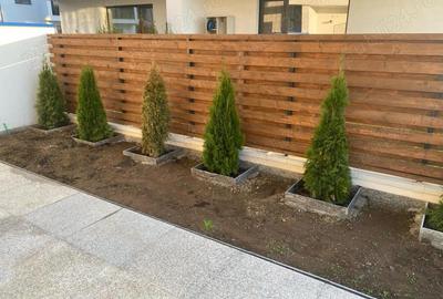 Apartament cu 3 camere semidecomandat în Tunari - 8