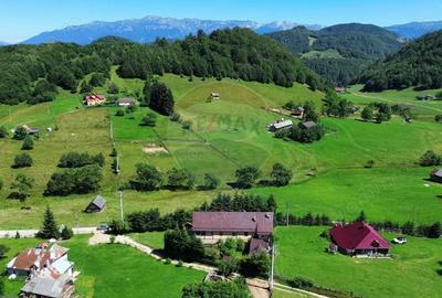 Casă cu 7 camere cu Teren 1270 Mp în Ciocanu - 5