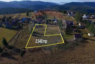 Teren 3,548mp, intravilan, Balcesti (Belis) - 10