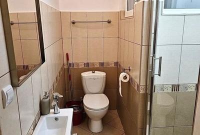 Apartament cu 4 camere de inchiriat in zona Ultracentrala - Oradea - 10
