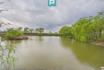 Teren agricol extravilan de 10000 mp, în Alioș - 1