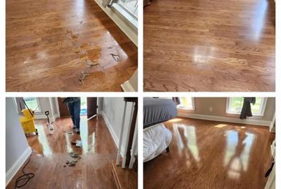 Servicii curatenie - 6