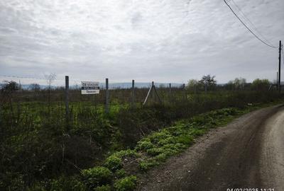 Teren Construcții intravilan de 19059 mp, în Sâncraiu de Mureș