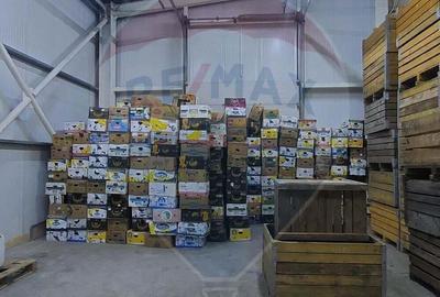 Spațiu comercial, de 880 mp, în Muntenii de Jos - 8