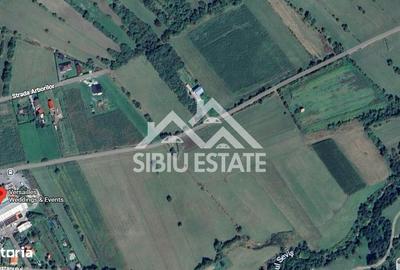 Spațiu comercial, în Sadu