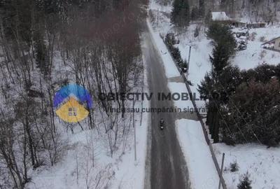 Teren de 2283 mp, în Tarcău - 2