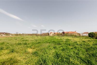 RECO casa cu teren generos in Santion - 5