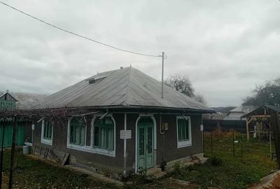 Casa Bodesti 50mp 2 camere bucataria anexe la sosea cu 1500mp teren - 10