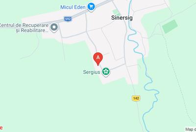 Teren Construcții intravilan de 7000 mp, în Sinersig - 1