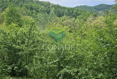 Teren de 800 mp, în Central - 5