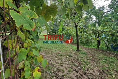 Casa 3 camere, 976 mp, garaj, zona Barabant - 14
