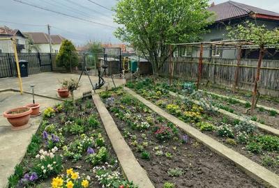 Casă cu 4 camere cu Teren 380 Mp în Central - 6