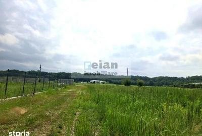 Teren de 3300 mp, în Ciolpani - 3