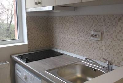 Garsonieră în Ozana - 3