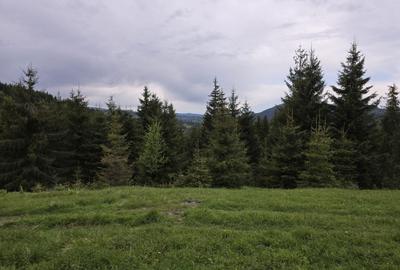 Spațiu comercial, în Dârmoxa - 3
