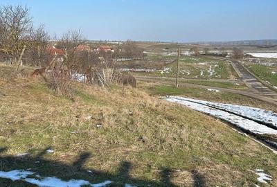 Teren de 1440 mp, în Murani - 2