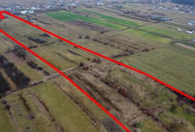 Teren de 21700 mp, în Solovăstru - 3