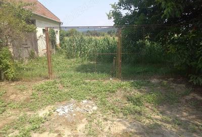 Teren de 2000 mp, în Chelmac - 4