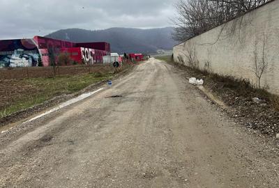 Teren intravilan, 6000 mp, Ghimbav - 3