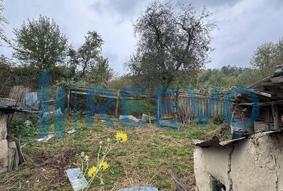 Casa ?i teren de vanzare, sat Buda, Blage?ti, Bacau - 1